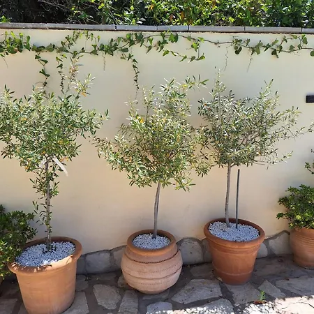 Villa Anna- A Slice Of Heaven.