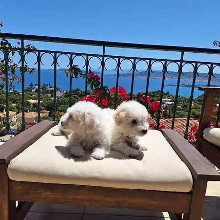 Anna- A Slice Of Heaven. *