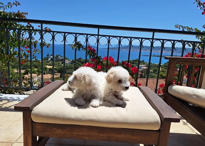 Anna- A Slice Of Heaven. *